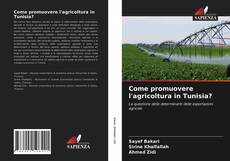 Обложка Come promuovere l'agricoltura in Tunisia?