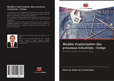 Modèle d'optimisation des processus industriels - Indigo kitap kapağı