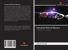 Bookcover of Industrial Pole of Manaus