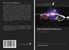 Polo industrial de Manaus kitap kapağı
