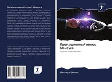 Capa do livro de Промышленный полюс Манауса 