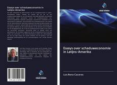 Buchcover von Essays over schaduweconomie in Latijns-Amerika