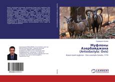Муфлоны Азербайджана (Artiodactyla: Ovis)的封面