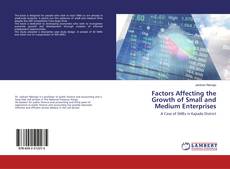 Copertina di Factors Affecting the Growth of Small and Medium Enterprises