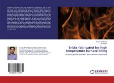Copertina di Bricks fabricated for high temperature furnace lining