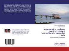 A parametric study on tension-resistant foundations in expansive soils的封面