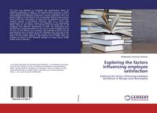 Copertina di Exploring the factors influencing employee satisfaction