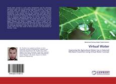 Bookcover of Virtual Water