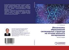 Copertina di Механизмы образования силицидных структур на основе ионного легирования