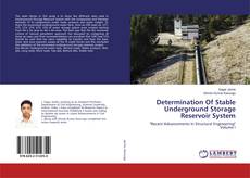 Copertina di Determination Of Stable Underground Storage Reservoir System