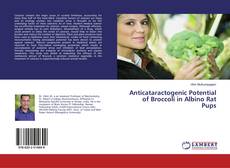 Copertina di Anticataractogenic Potential of Broccoli in Albino Rat Pups