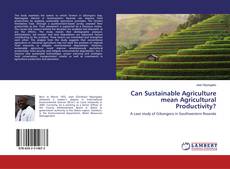Buchcover von Can Sustainable Agriculture mean Agricultural Productivity?