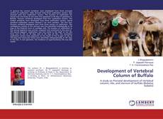 Copertina di Development of Vertebral Column of Buffalo