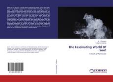 Buchcover von The Fascinating World Of Soot