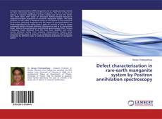 Bookcover of Defect characterization in rare-earth manganite system by Positron annihilation spectroscopy