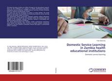 Copertina di Domestic Service Learning in Zambia health educational institutions