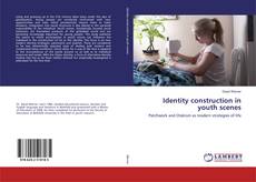 Copertina di Identity construction in youth scenes