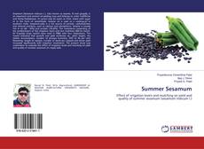 Borítókép a  Summer Sesamum - hoz