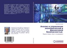 Copertina di Анализ и управление экономической и финансовой безопасностью
