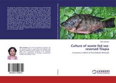 Borítókép a  Culture of waste fed sex-reversed Tilapia - hoz
