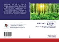 Buchcover von Assessment of Workers' Perception