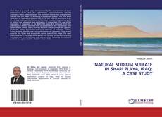 Borítókép a  NATURAL SODIUM SULFATE IN SHARI PLAYA, IRAQ: A CASE STUDY - hoz