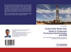 Borítókép a  Carbonated Water-CO2 Flood in Carbonate Formation:Geochemistry and EOR - hoz