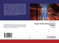 Bookcover of Major Public Enterprises in TURKEY