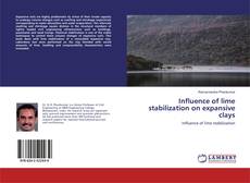Buchcover von Influence of lime stabilization on expansive clays