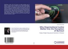 Buchcover von Why Organizational Justice Matter Into the Perception of Burnout