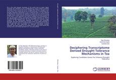 Deciphering Transcriptome Derived Drought Tolerance Mechanisms in Tea的封面