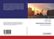 Economical Concrete的封面