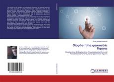 Copertina di Diophantine geometric figures