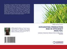 Copertina di INTEGRATING PRODUCTION RISK IN EFFICIENCY ANALYSIS: