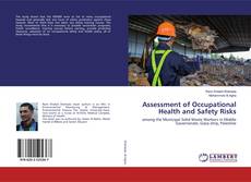 Assessment of Occupational Health and Safety Risks的封面