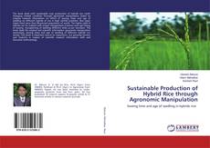 Copertina di Sustainable Production of Hybrid Rice through Agronomic Manipulation