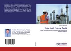 Industrial Energy Audit kitap kapağı