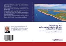 Bookcover of Palynology and palynostratigraphy of sub- and surface Triassic