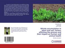 Bookcover of Nitrate accumulation in plant and soil, Factors affecting the process and their impact on human and animal health