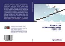 Практикум аудиовизуального перевода的封面