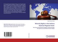 Bookcover of Minority Rights in the Amhara National Regional State: