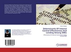 Buchcover von Determinants Of Internal Control Effectiveness And Lending Among SMEs