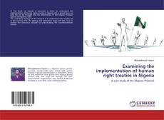 Copertina di Examining the implementation of human right treaties in Nigeria