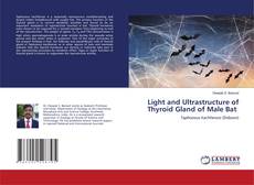 Copertina di Light and Ultrastructure of Thyroid Gland of Male Bat