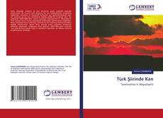 Copertina di Türk Şiirinde Kan