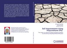 Buchcover von Soil Improvement Using Polyurethane (PU)