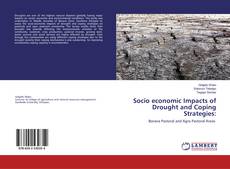 Copertina di Socio economic Impacts of Drought and Coping Strategies: