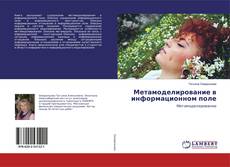 Bookcover of Метамоделирование в информационном поле