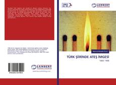 Copertina di TÜRK ŞİİRİNDE ATEŞ İMGESİ
