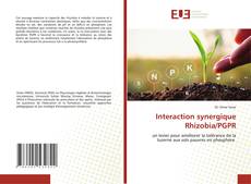 Buchcover von Interaction synergique Rhizobia/PGPR